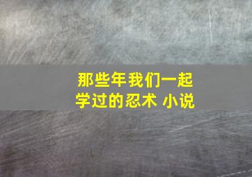 那些年我们一起学过的忍术 小说